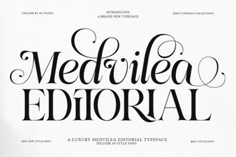 Medvilea Editorial Font for Creative Projects